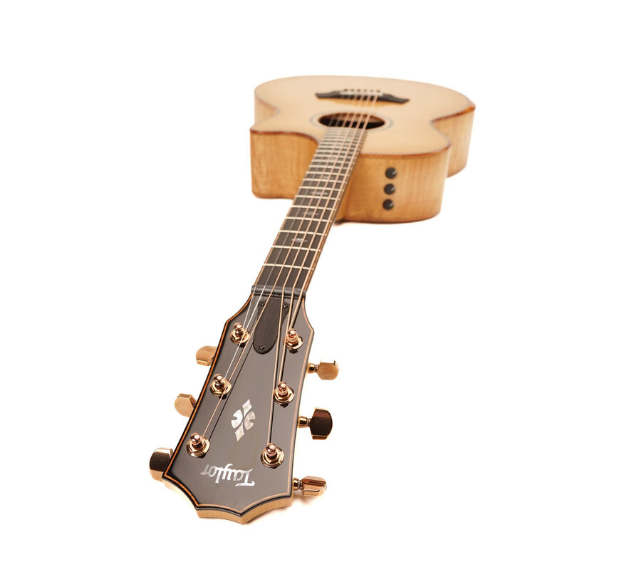 Taylor Custom GA Maple | Bearclaw Top