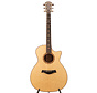 Taylor C14ce B5036 | Custom | NAMM 2025