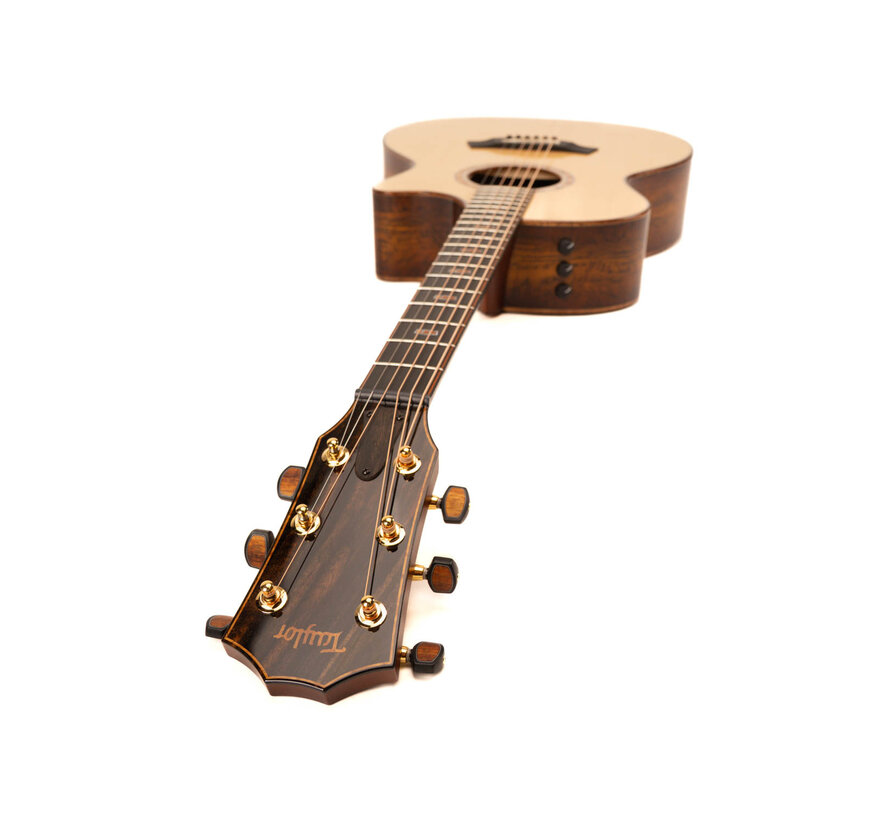 Taylor C14ce B5036 | Custom | NAMM 2025