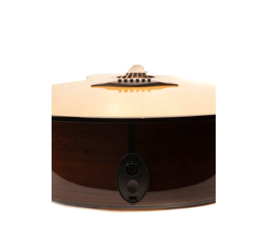 Taylor Custom Katalox | NAMM 2025 model