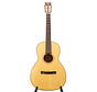 Martin Guitar C.F. Martin IV Custom Shop 00 | Chris and Craig Tour Model