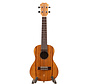 TOM M3 | Concert | 23"