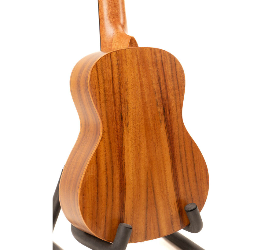 TOM M3 | Concert | 23"