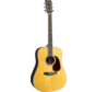 Martin D-35 GE