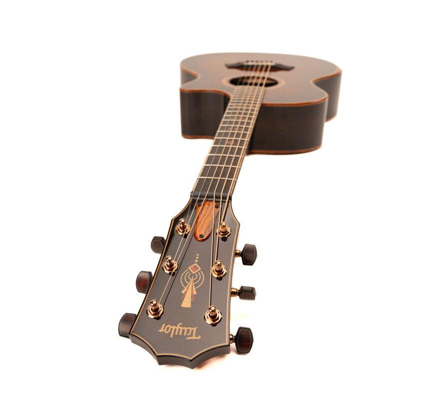 Taylor C24ce B5013 Custom NAMM 2025 model