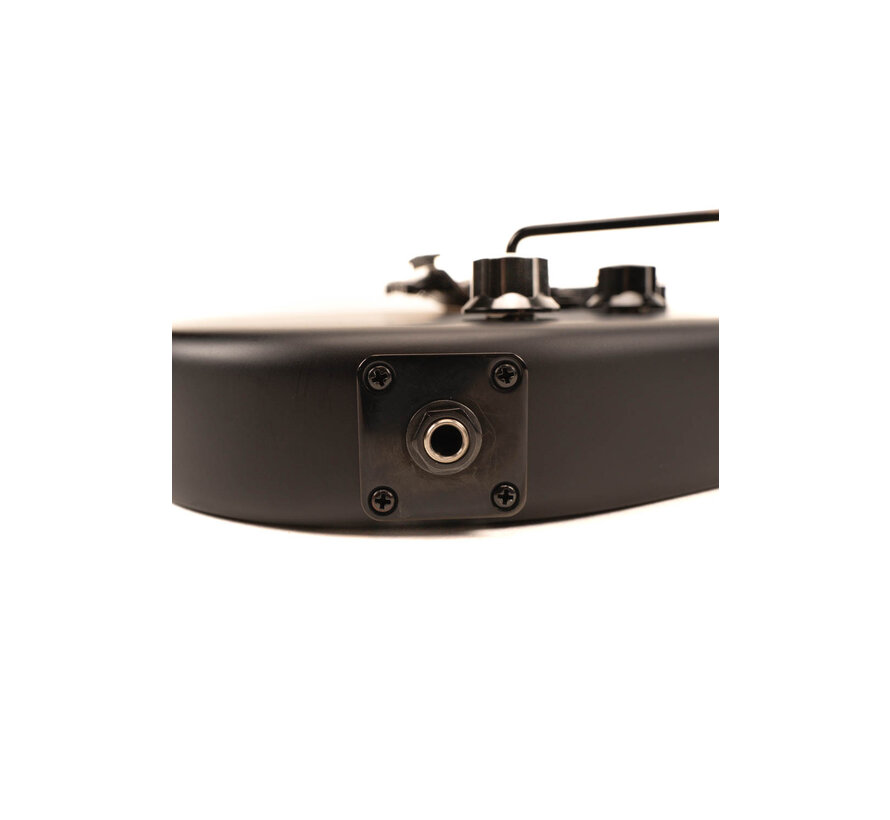 EVH 5150 | Series Standard