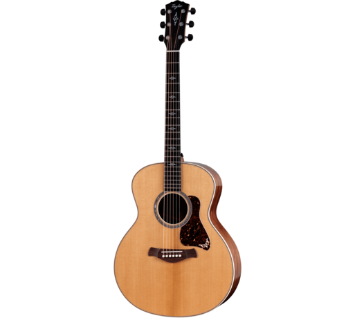 Taylor Taylor Gold Label 814e