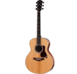 Taylor Gold Label 814e