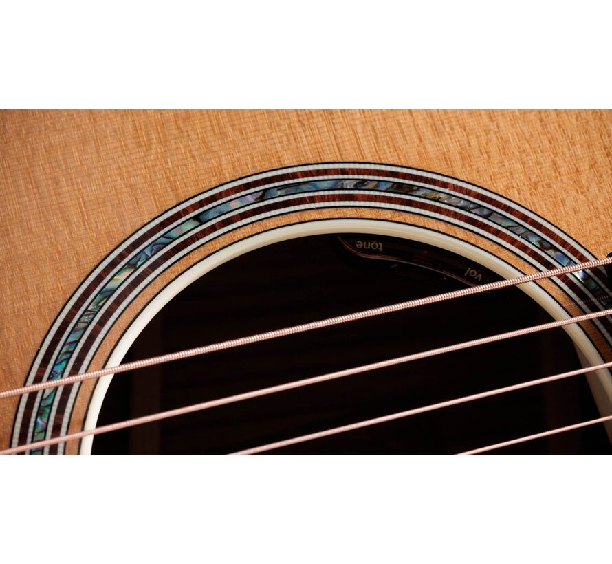 Taylor Gold Label 814e