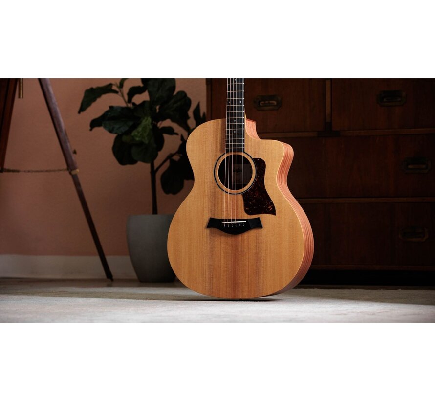 Taylor 14ce | Sapele