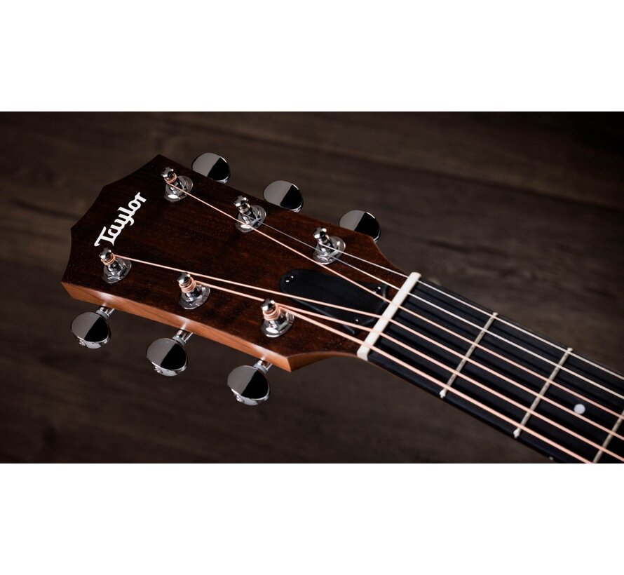 Taylor 14ce | Sapele