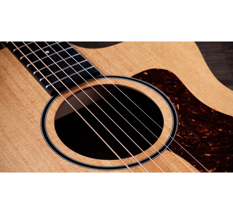 Taylor 14ce | Sapele
