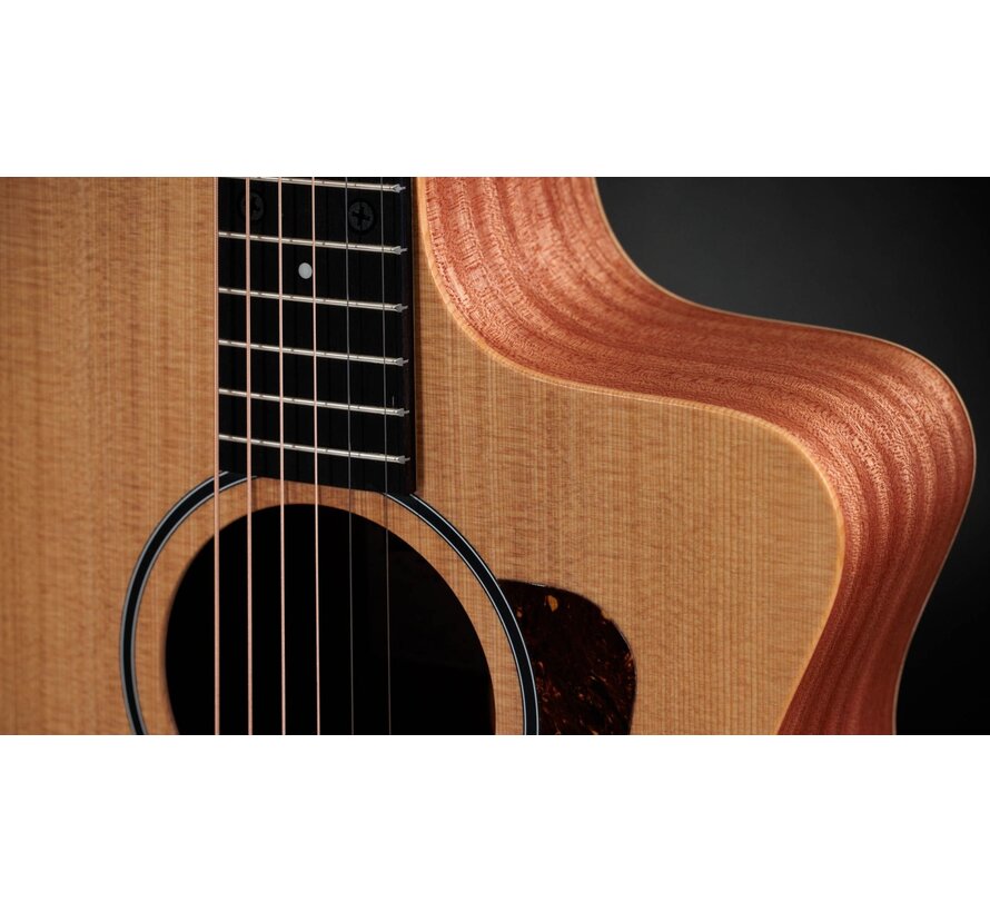 Taylor 14ce | Sapele