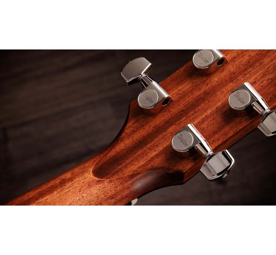 Taylor Gold Label 514e