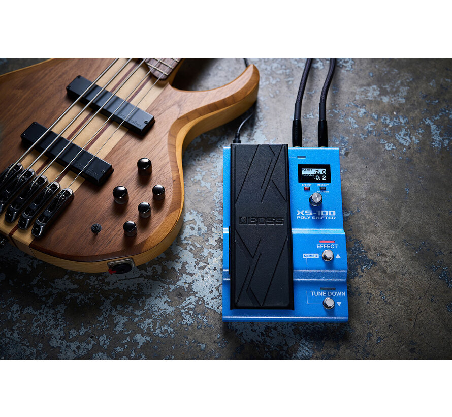 Boss XS-100 Poly Shifter