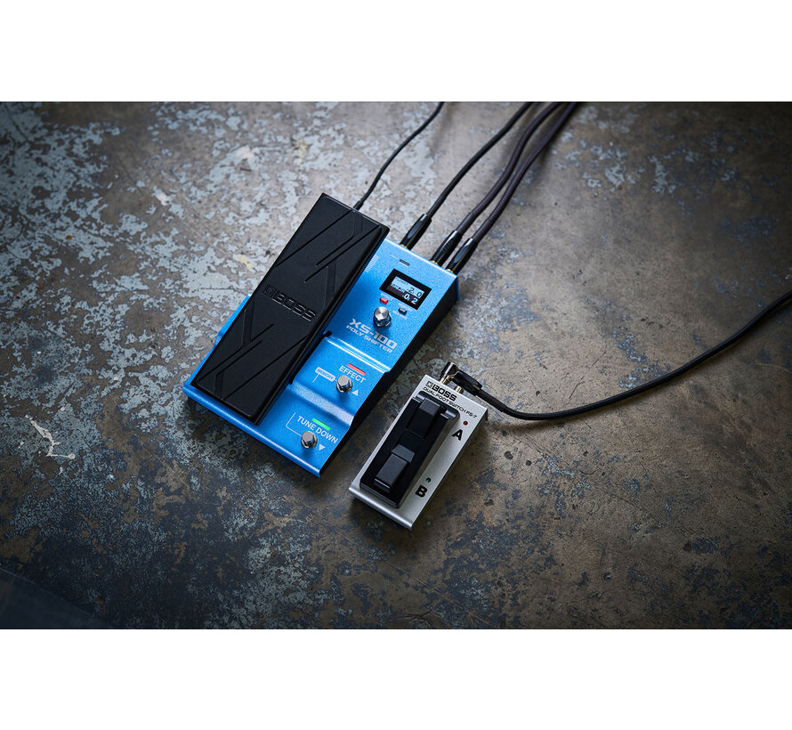 Boss XS-100 Poly Shifter