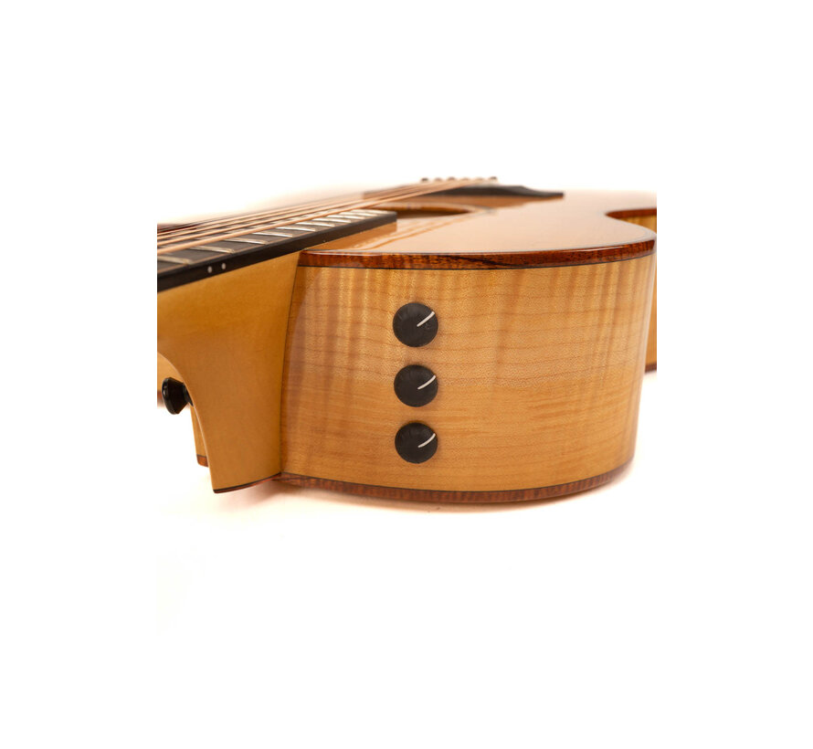 Taylor Custom GA Maple | Bearclaw Top | Tweedehands