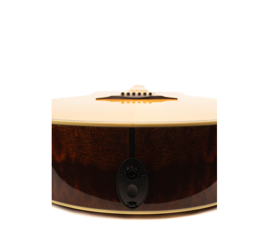 Taylor GSce- FLTD | Tweedehands | Bouwjaar 2012