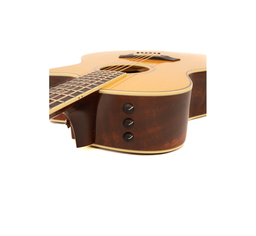 Taylor GSce- FLTD | Tweedehands | Bouwjaar 2012