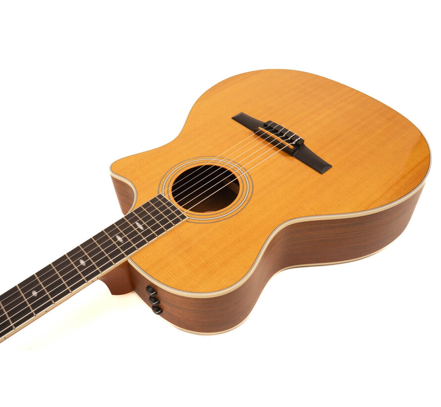 Taylor 414ce- N | Tweedehands | B.J. 2011