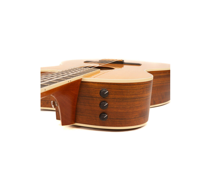 Taylor 414ce- N | Tweedehands | B.J. 2011