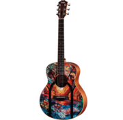 Taylor Taylor ZEDD GS Mini Telos Special Edition