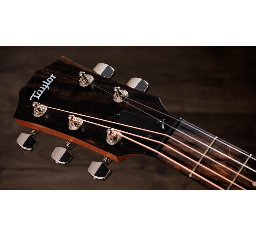 Taylor Academy 22e | Jacob Collier 5- Snarige