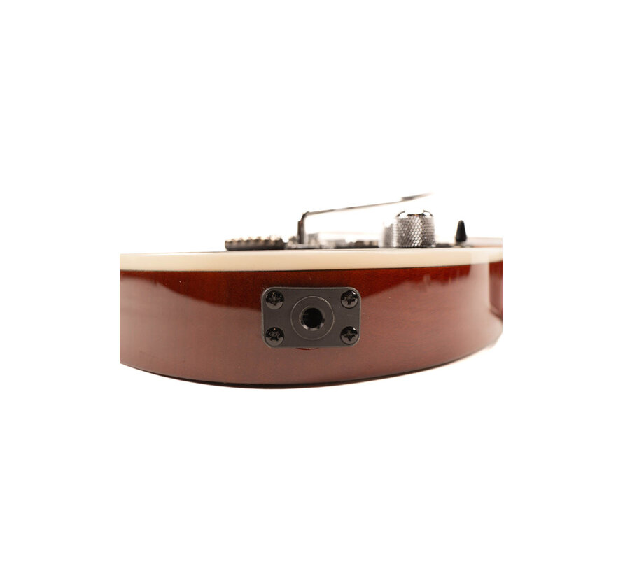 Ibanez GRG220PA1-BKB Transparent Brown Black Burst