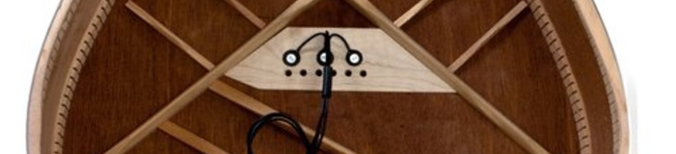 De top 5 beste akoestische gitaar pick ups!