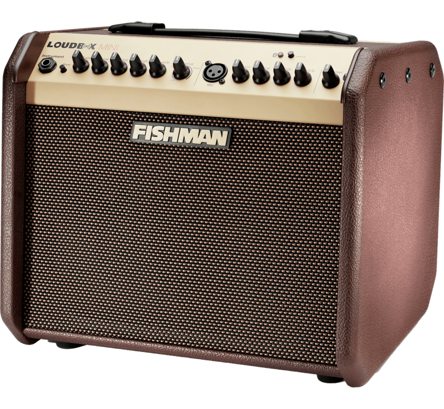 Fishman Loudbox Mini PRO LBT 500 Bluetooth 60W