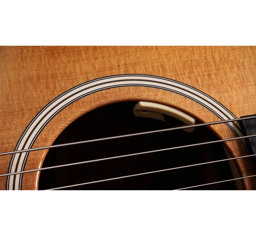 Taylor Trey Hensley Gold Label 510e Special Edition