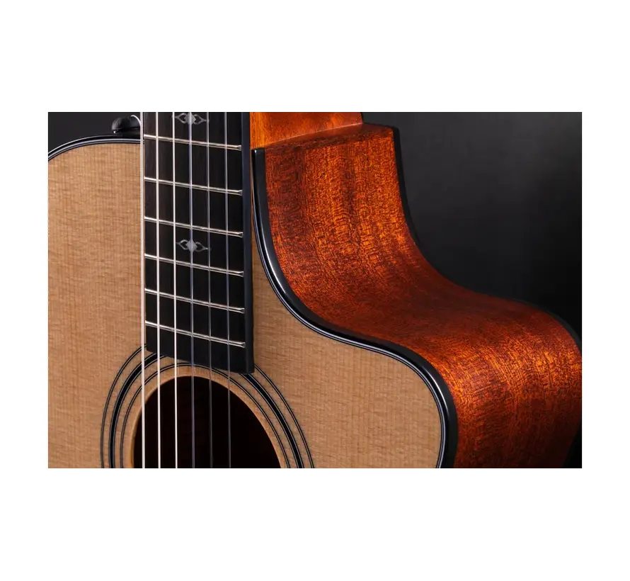 Taylor 312 ce -N