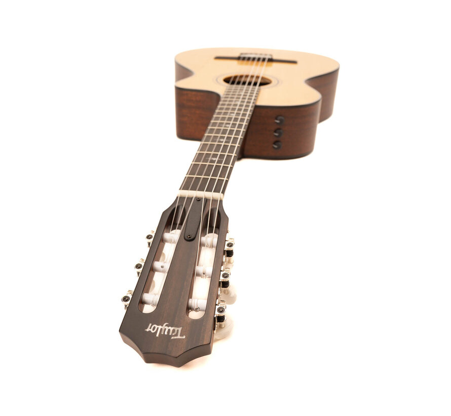 Taylor 312ce -N