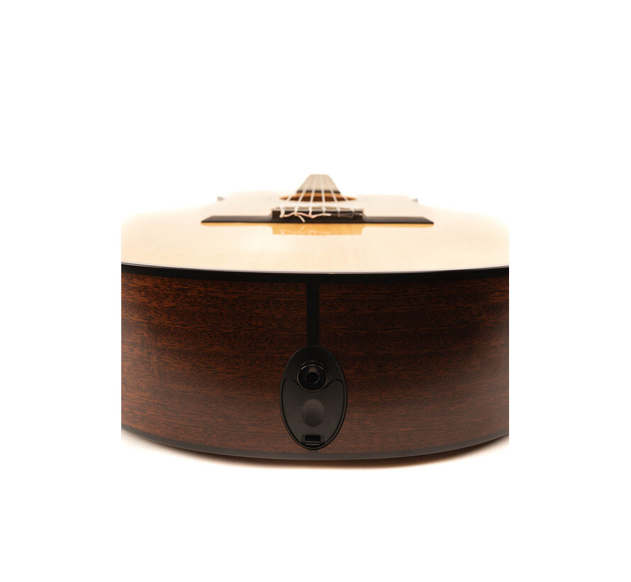 Taylor 312ce -N