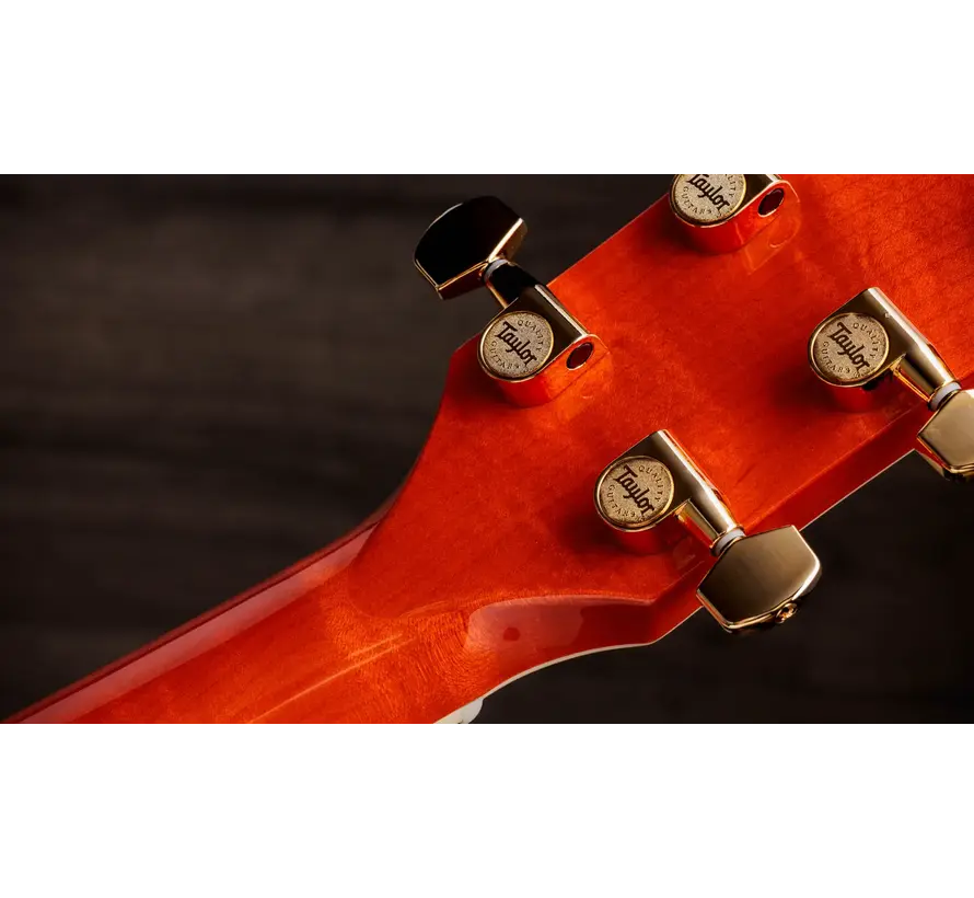 Taylor DDSM Doyle Dykes Signature Model - Orange