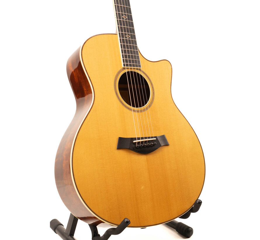 Taylor GSce-FLTD Fall Limited Edition 2012 | Tweedehands