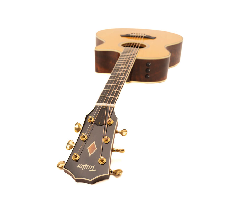 Taylor GSce-FLTD Fall Limited Edition 2012 | Tweedehands