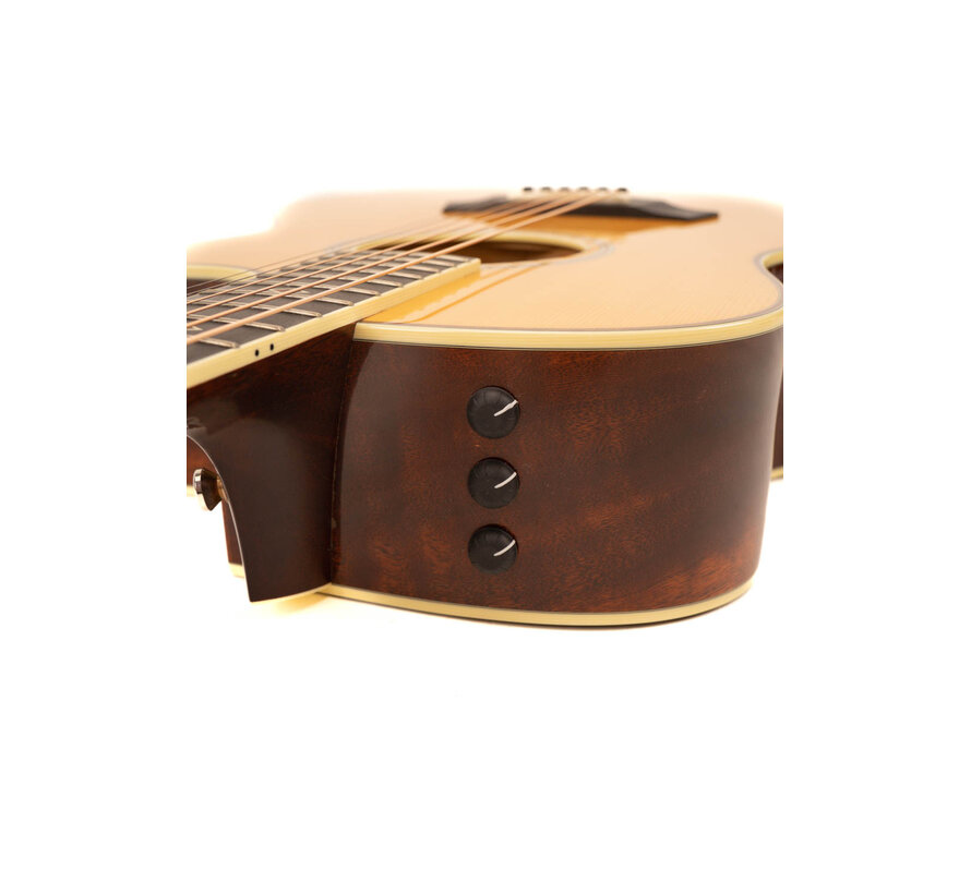 Taylor GSce-FLTD Fall Limited Edition 2012 | Tweedehands