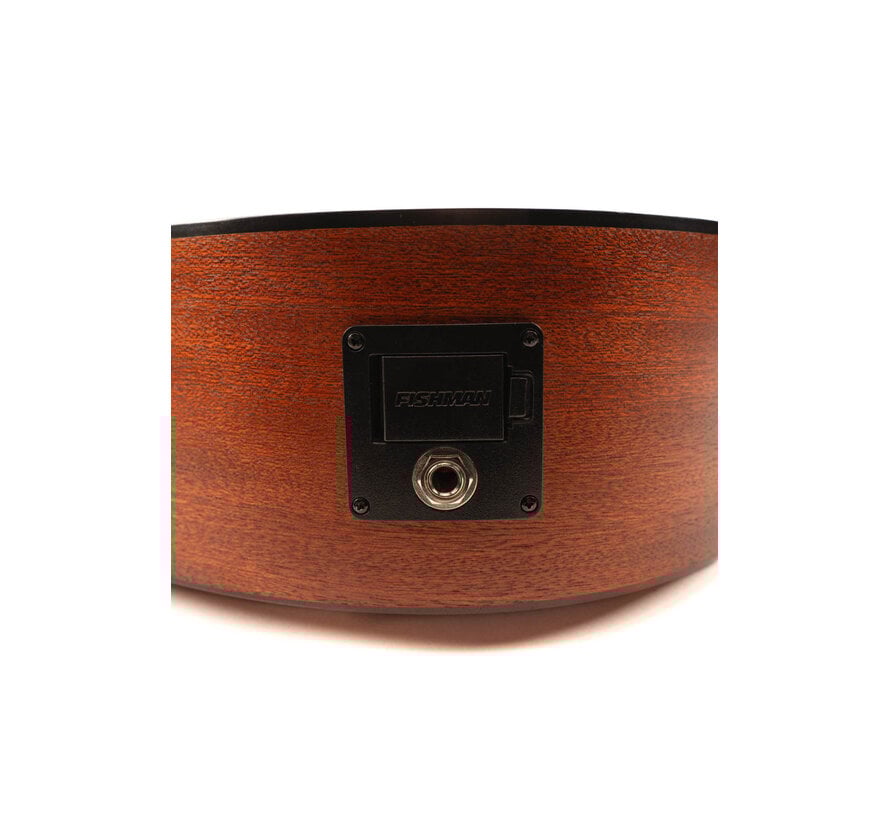 Martin 000JR-10E Shawn Mendes | Tweedehands