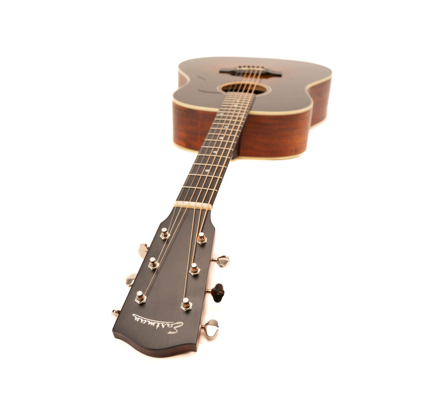 Eastman E10/SS | Tweedehands