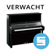 Yamaha Yamaha YUS1SG Silent Piano | Bouwjaar 2010