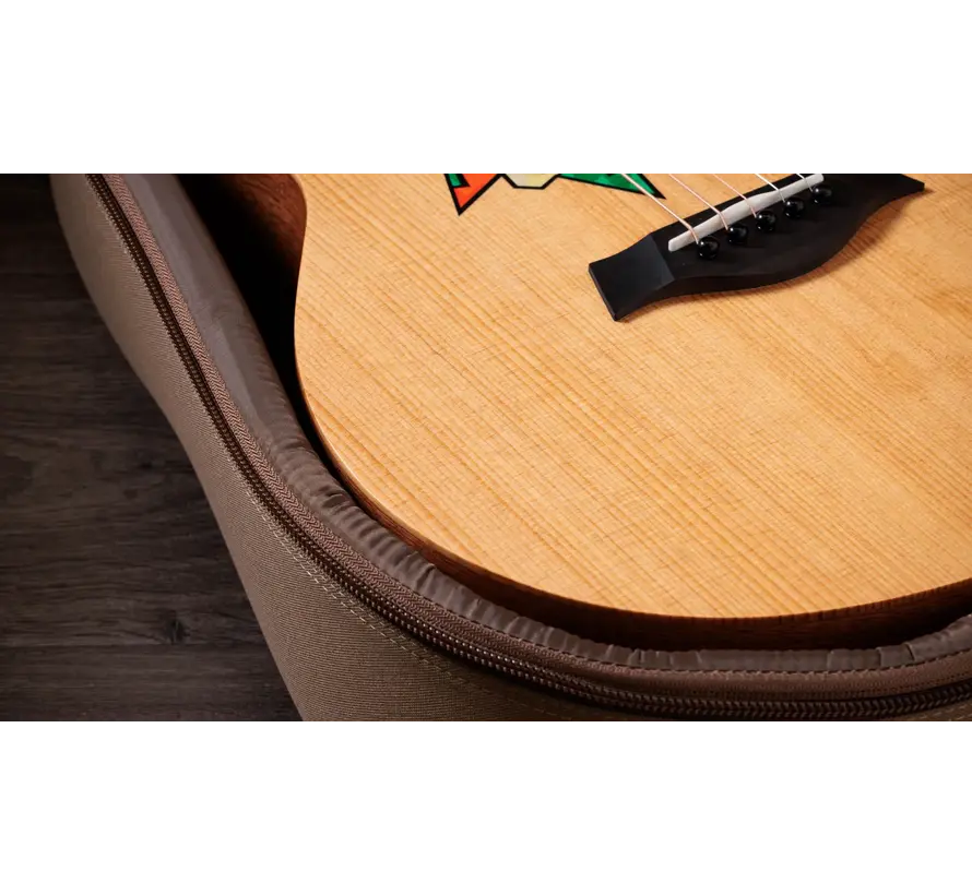 Taylor Jacob Collier GS Mini 5-string