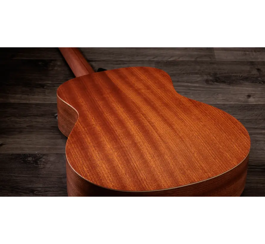 Taylor Jacob Collier GS Mini 5-string