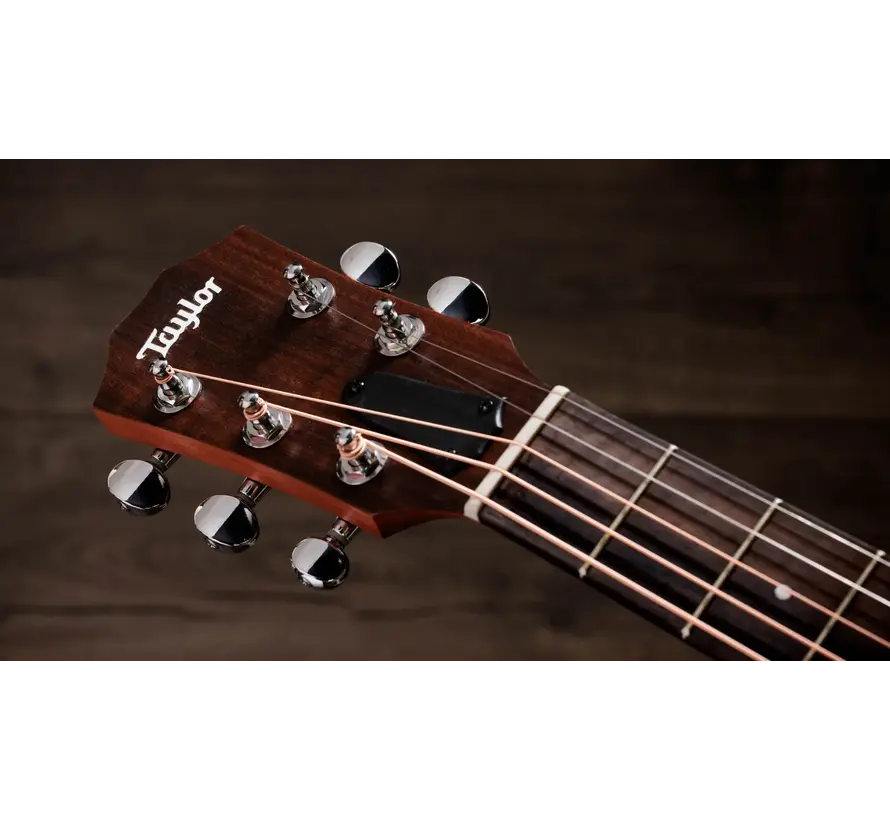 Taylor Jacob Collier GS Mini 5-string