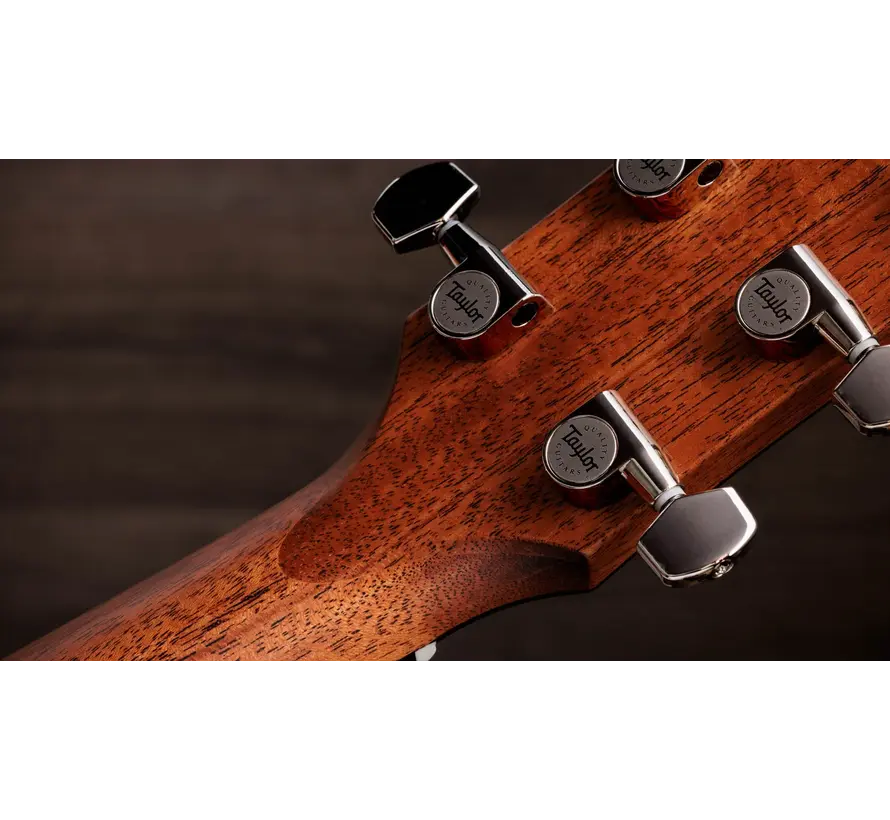 Taylor Gold Label 512e