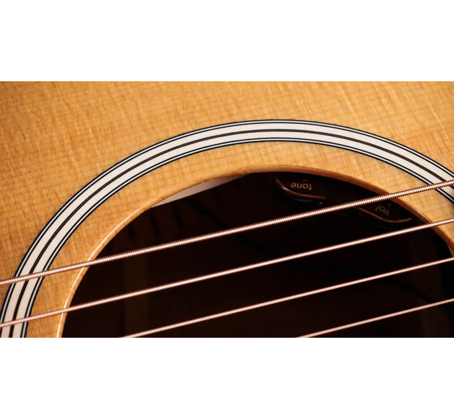 Taylor Gold Label 512e