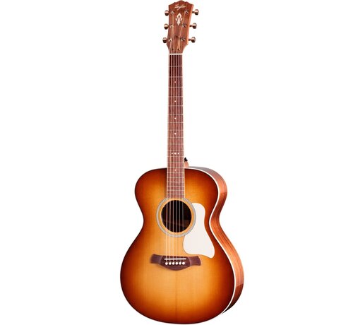 Taylor Taylor Ben Harper Gold Label 512e Special Edition