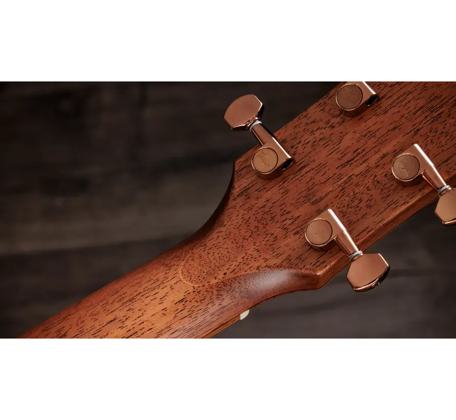 Taylor Ben Harper Gold Label 512e Special Edition