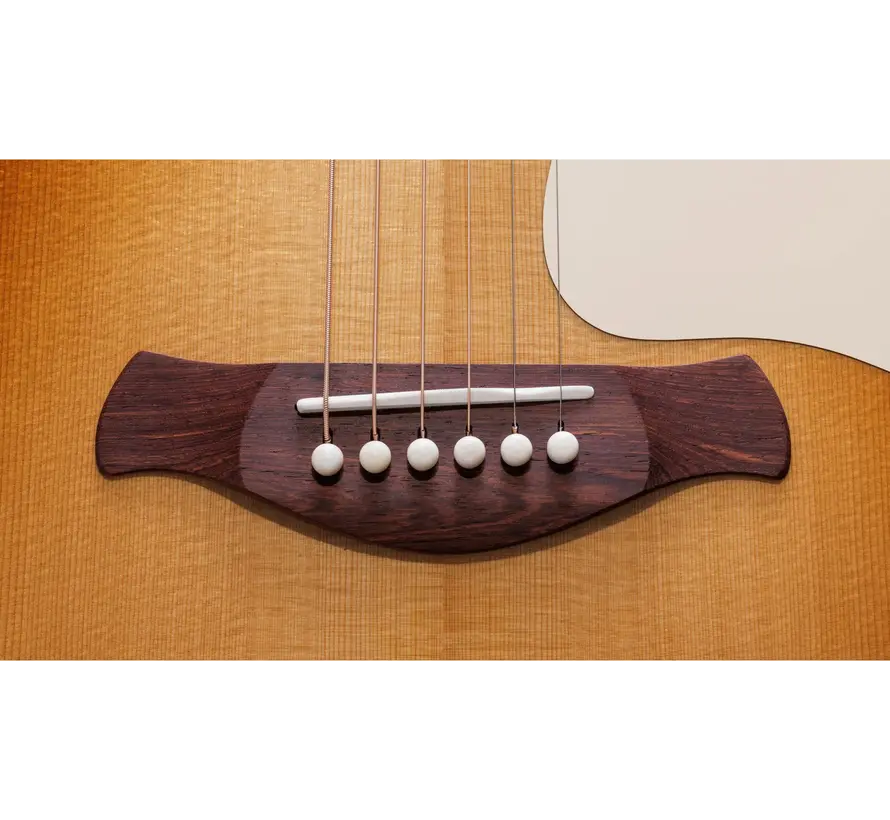 Taylor Ben Harper Gold Label 512e Special Edition