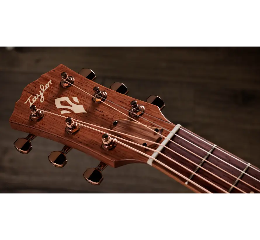 Taylor Ben Harper Gold Label 512e Special Edition